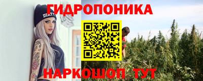 ГАЛЛЮЦИНОГЕННЫЕ ГРИБЫ Берёзовский