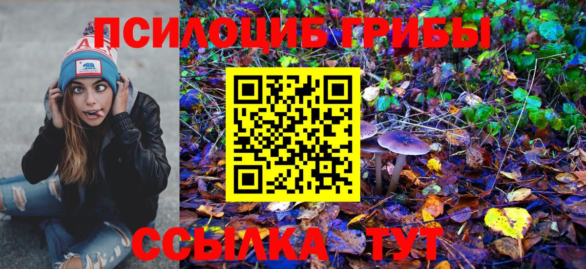 Псилоцибиновые грибы Cubensis  Псилоцибиновые грибы ЛСД  Вход с VPN  где купить наркоту  Апшеронск 