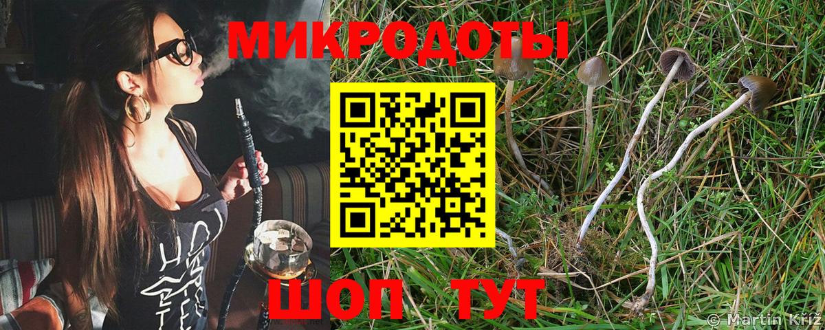 Галлюциногенные грибы ЛСД Апшеронск